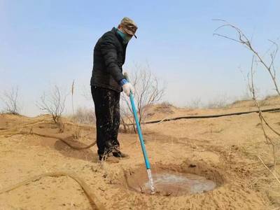 持續一小步，邁向綠色未來 每日黑巧以“巧護地球”引領農副產品銷售新篇章